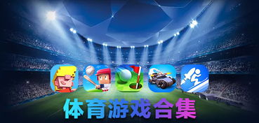 最新盘点：体育游戏巅峰之作，揭秘最佳互动体验！