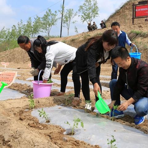 盘点热门农场模拟游戏：探索最热玩法新境界