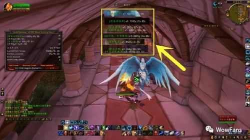 菜姬双排高效攻略，揭秘上分新境界