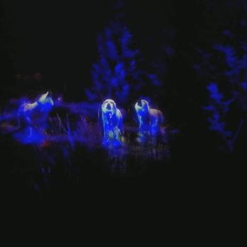 十大精选平台跳跃游戏，揭秘沉浸式畅玩新体验