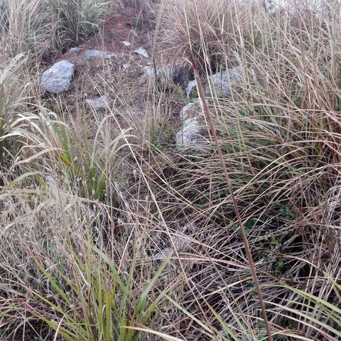 《遗迹2》开荒必备！盘点最适合开荒的职业