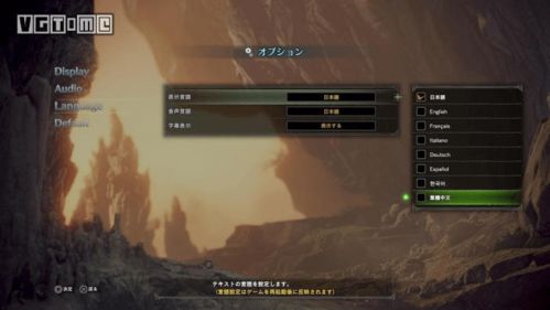 《怪物猎人：世界》50小时深度体验攻略