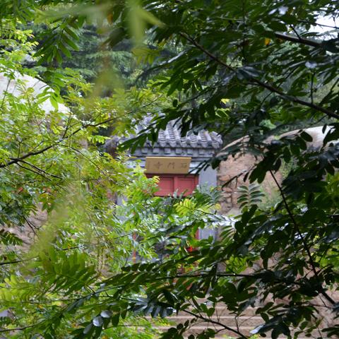 《无尽空间2》不落族攻略：揭秘独特玩法技巧