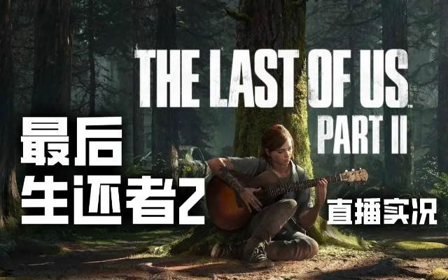 《最后生还者2复刻版》全DLC生存挑战攻略实况解说