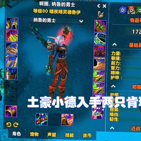 《暗黑4》德鲁伊熊狼戒指BD：游戏内必备神器！