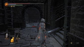 《黑暗之魂3》DLC全攻略：图文流程详解，一网打尽！