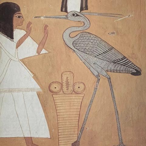 《原神》宝藏地图：独家宝箱收集攻略秘籍