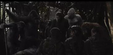 《夜族崛起》新版本揭秘：沉浸式黑暗世界等你探索