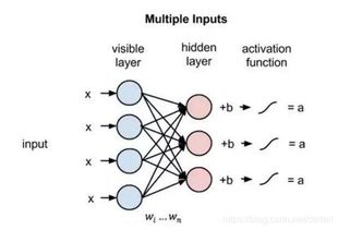 《艾尔登法环》老戴攻略：深度解析，新手必看！