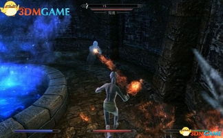 上古卷轴4湮灭重制版猩红伤疤战装:独家秘籍,无限刷取攻略大揭秘！