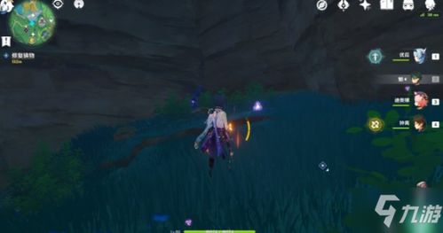 《原神》寻游全攻略：深度解析，新手必看！