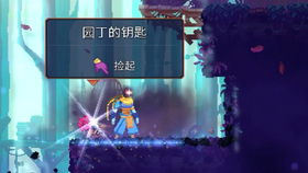 重生细胞园丁钥匙高效获取指南，解锁新境界