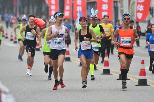 棒鸡新作马拉松无单人内容上线