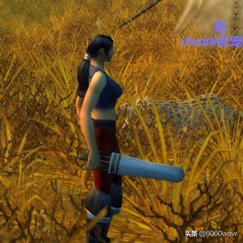 《猎人弹药特效秘籍：轻松获取攻略》