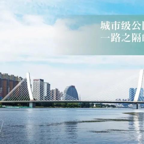 《星空》前期材料必备：揭秘高效主城选址攻略