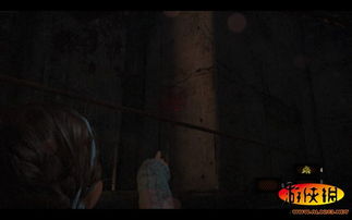 《禁闭求生2》蚋虫攻略：高效抓捕技巧揭秘