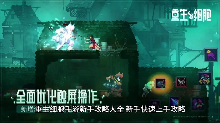 细胞重生极简攻略，高效通关新体验