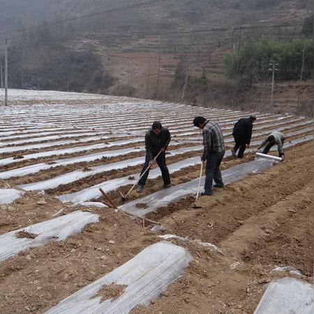 热门种田游戏盘点：揭秘十大热门耕作体验攻略