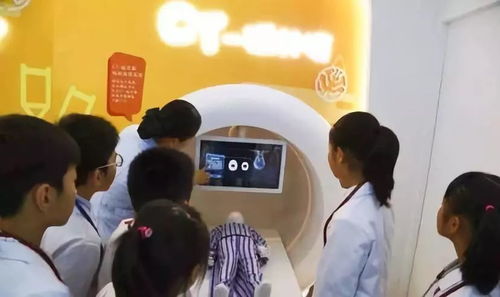 十大精选医疗模拟游戏，揭秘医学实践新体验
