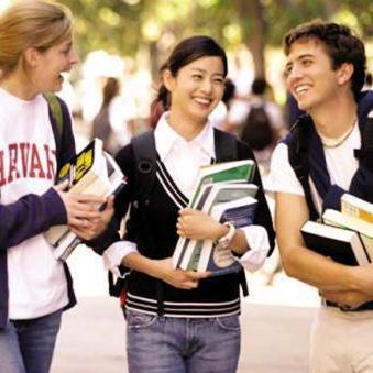 盘点热门低龄游戏，揭秘趣味成长秘籍