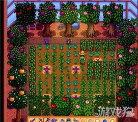 星露谷物语酿酒攻略：新手必看，高效酿酒技巧揭秘