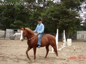 首届机器人半马第三名爆红:带伤竞技,半马跑毕腿软