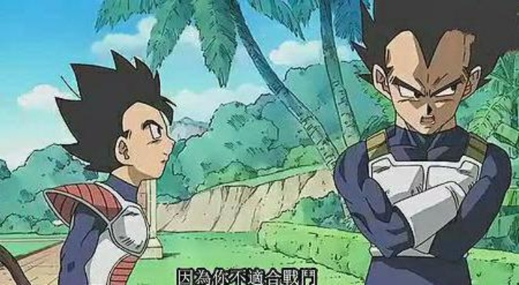 《七龙珠》贝吉塔父子情深：解锁分歧路线秘籍大揭秘