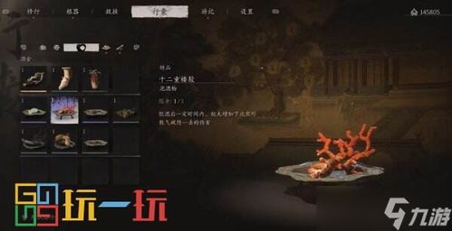 《黑神话悟空》六六村隐藏地图攻略：轻松获取龟泪秘籍