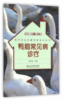 《鹅鸭杀鹈鹕攻略》高效玩法揭秘！