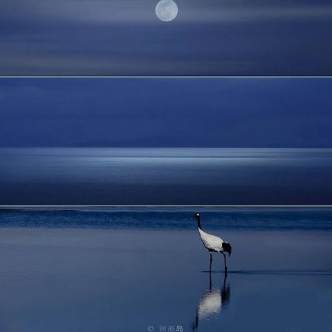 十大热门极简游戏盘点：揭秘必玩人气精选