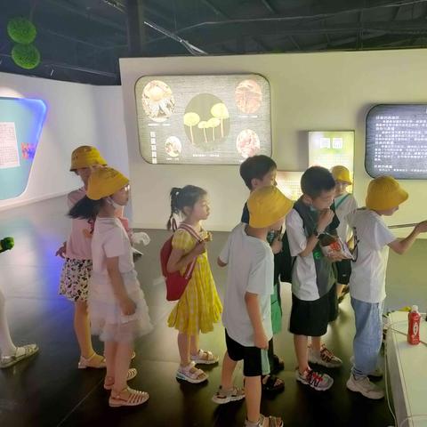 精选文字游戏盘点：探索无限创意新体验