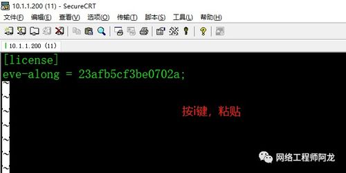 《轻松提升！模拟人生4技能修改秘籍大公开》