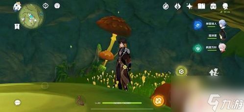 《原神》须弥新解谜！草种子谜题攻略大揭秘