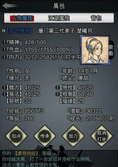 烟雨江湖文皇经速成秘籍，轻松解锁全攻略新境界