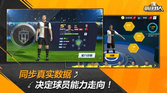 最佳阵容打造：11人培养策略深度解析