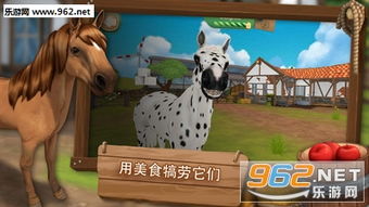 热门马匹游戏盘点：揭秘人气排行与趣味玩法推荐