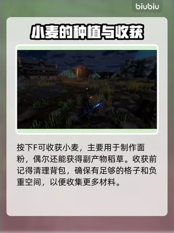 《雾锁王国小麦稻草藏匿攻略》