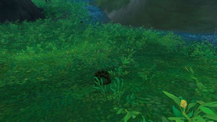 《荒野猎人》足迹蜥蜴捕捉攻略：神秘地点大揭秘