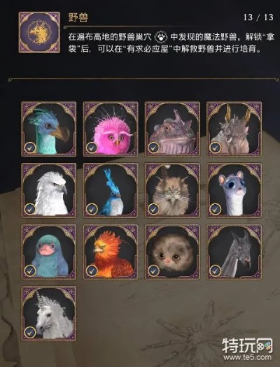 霍格沃茨神秘动物巢穴全揭秘！速来探索隐藏宝藏