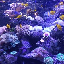 十大经典开放世界游戏盘点：探索未知，畅游奇幻世界秘境