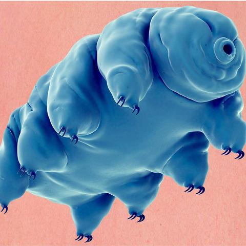 《炉石传说》补水宇宙战卡组攻略：构筑秘籍大公开