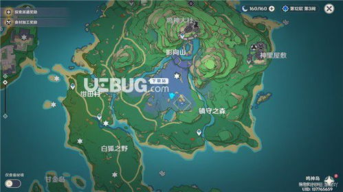 《原神》奇境谜丘第三日满奖攻略：第五关神秘路线揭秘