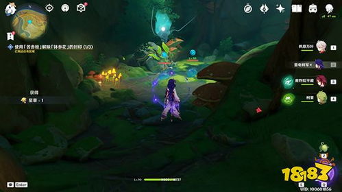 《原神》星夜之章正法炬书攻略：高效完成任务秘籍