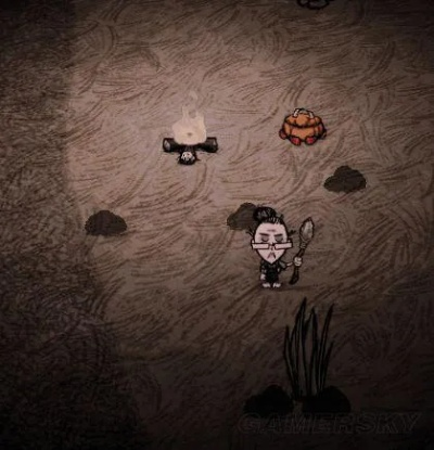 《饥荒》联机攻略：老奶奶+温迪生存技巧揭秘！