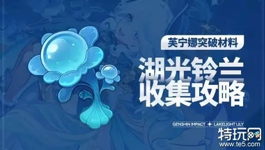 《原神》枫丹湖光铃兰速刷攻略：高效采集路线曝光