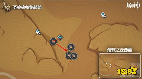 《原神》圣金虫高效速刷攻略，轻松获取！