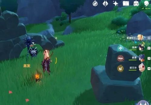 《原神》心海0命超安逸配队攻略，轻松通关必备！