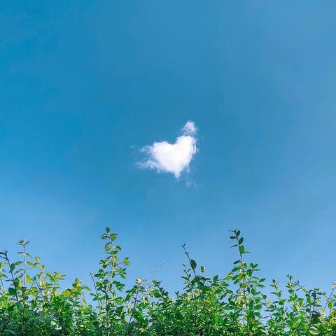 畅玩必备！四大好友集结，揭秘十大热门4人本地游戏精选