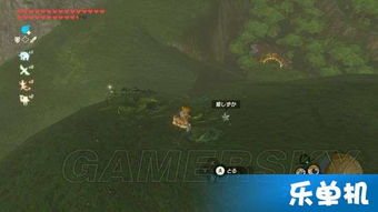 《荒野盾斧矿石攻略：素材样式与高效路线揭秘》