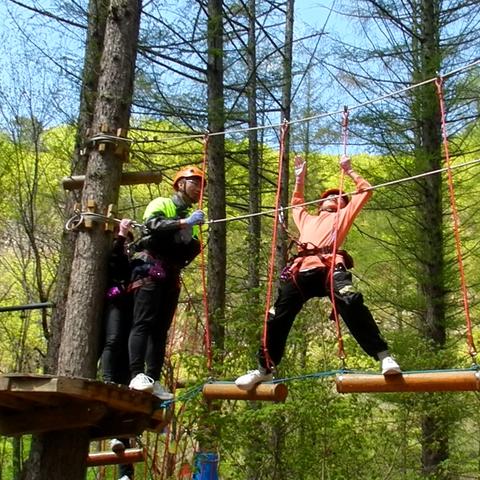 穿越热门盘点：人气飙升的穿越游戏精选推荐